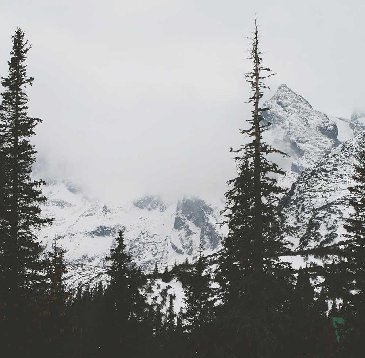 阿里手机卡实名账号：实名账号是否会影响言论自由