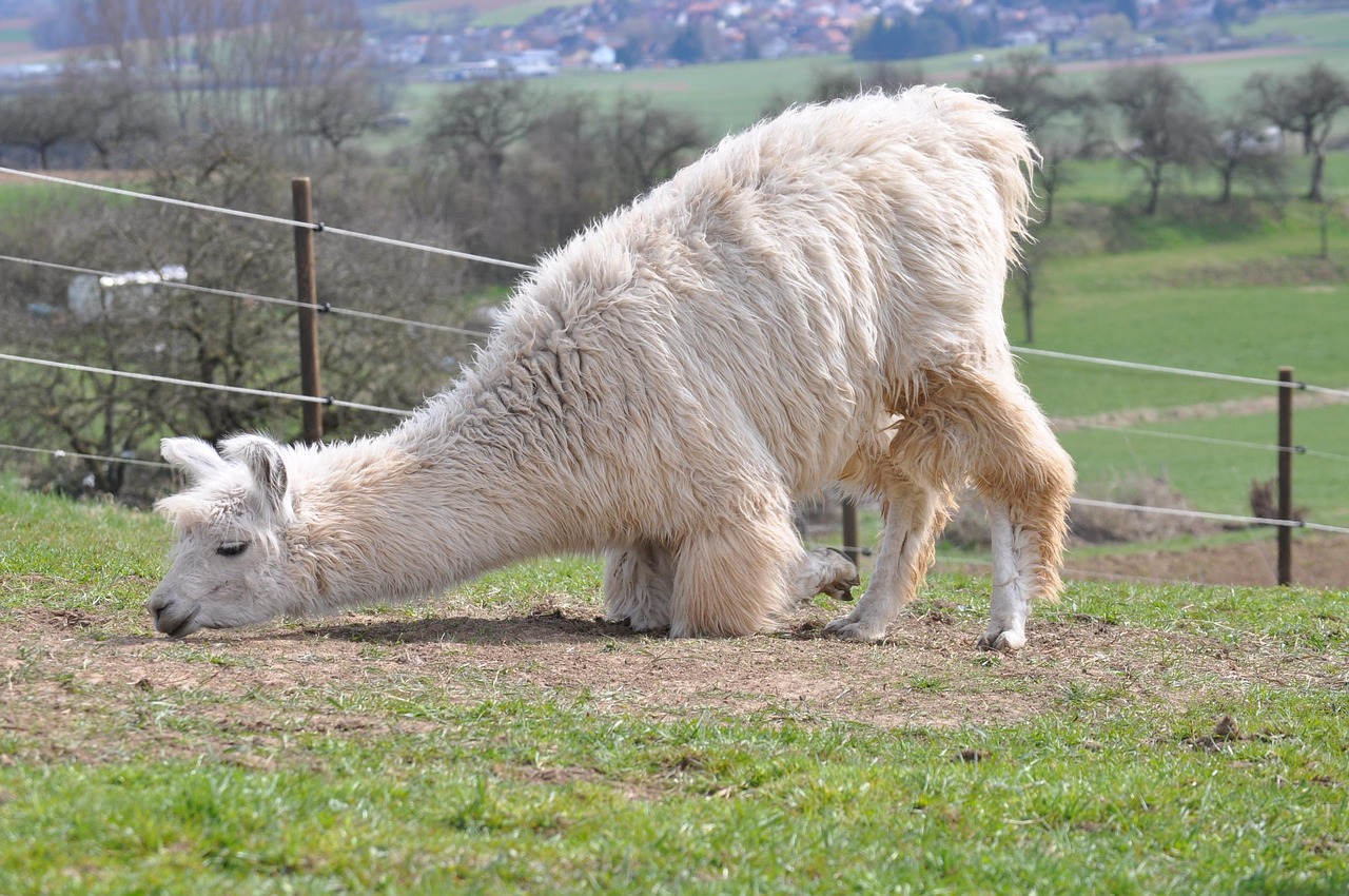 吸烟者如何保持口气清新？