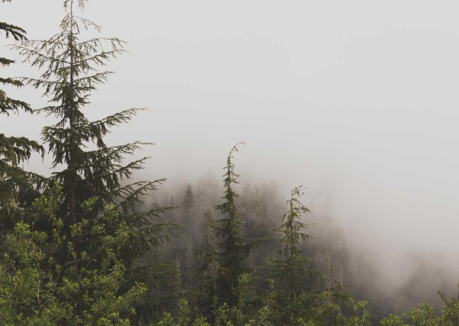 Metasploit：针对恶意软件的最佳拦截工具